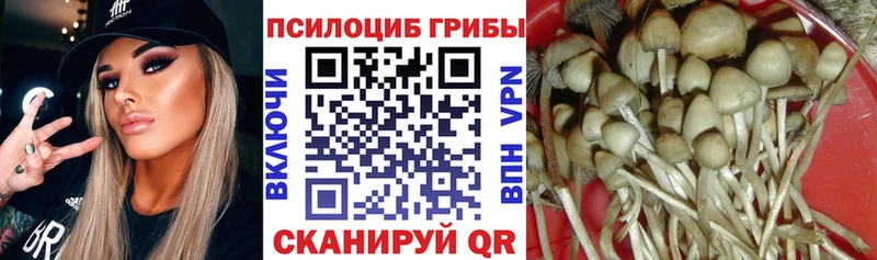 Псилоцибиновые грибы мухоморы  наркошоп  Городище 