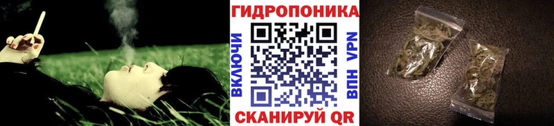 Шишки марихуана VHQ  купить   Городище 